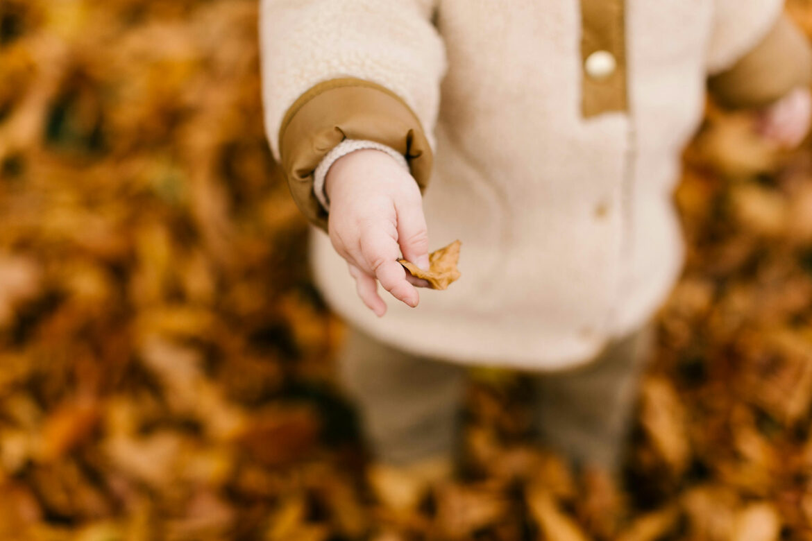 Ein Kind hält ein Herbstblatt in der Hand und zeugt es mit Freude. Es sind die kleinen Dinge, die das Leben ausmachen. Das ist ikigai. 